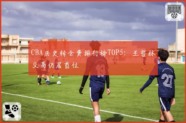 CBA历史转会费排行榜TOP5：王哲林交易仍居首位