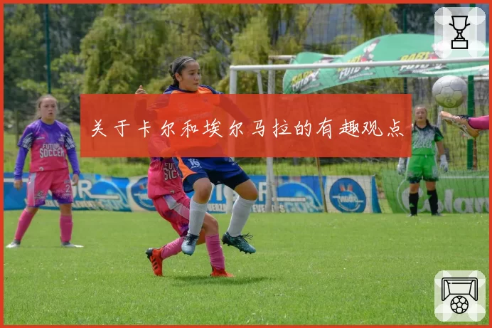 关于卡尔和埃尔马拉的有趣观点
