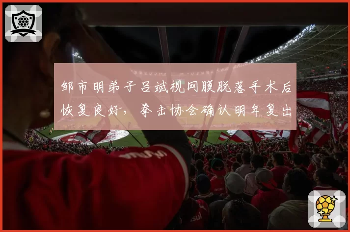 邹市明弟子吕斌视网膜脱落手术后恢复良好,拳击协会确认明年复出首战