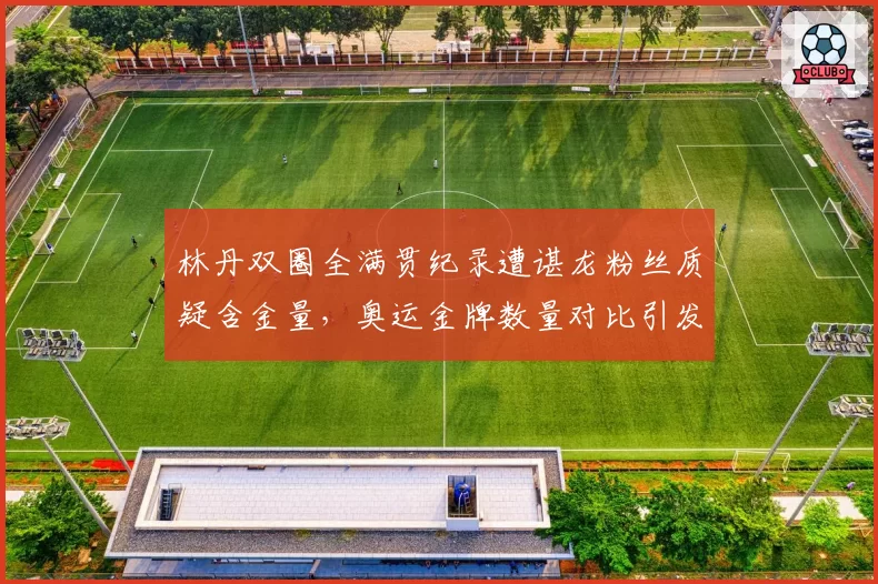 林丹双圈全满贯纪录遭谌龙粉丝质疑含金量，奥运金牌数量对比引发论战