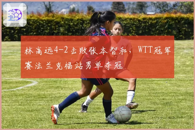 林高远4-2击败张本智和,WTT冠军赛法兰克福站男单夺冠