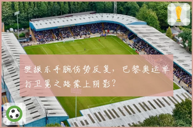 樊振东手腕伤势反复，巴黎奥运单打卫冕之路蒙上阴影？